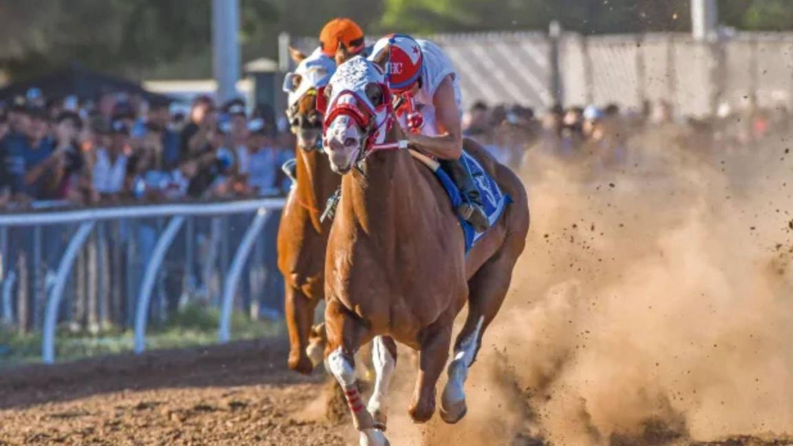 Muere ‘El Payaso’, el caballo de carreras más famoso de Culiacán