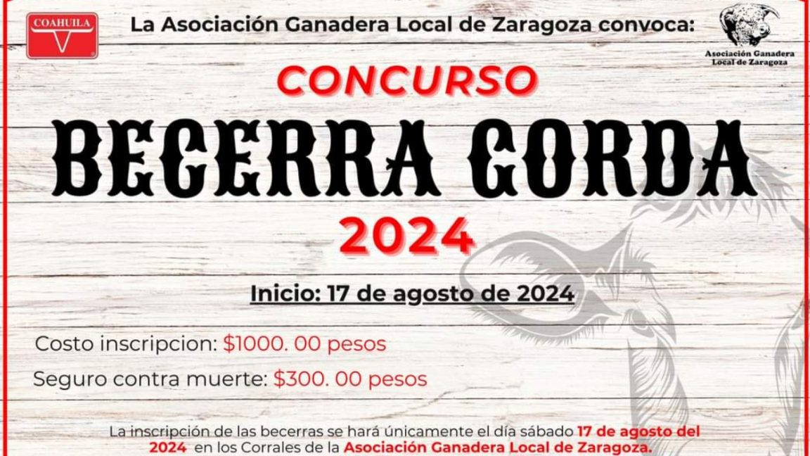 Concurso Becerra Gorda Zaragoza