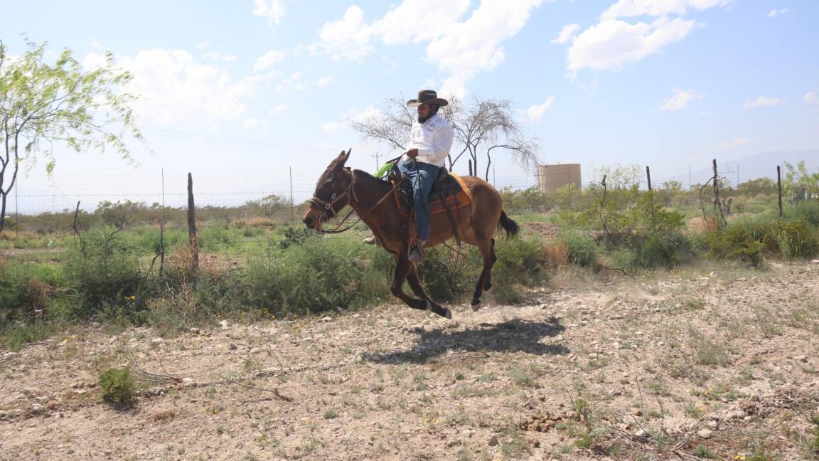 Más de 150 jinetes se suman a cabalgata en Arteaga para celebrar 20 años de Brío Natural