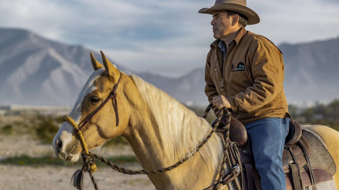 Caballos leyenda: Colonel Freckels, un semental sinigual