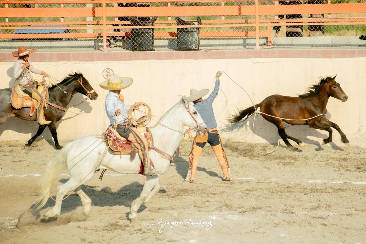 $!Las actividades continuarán hasta el próximo domingo 07 de julio en el Lienzo Charro San Isidro de Las Palomas.