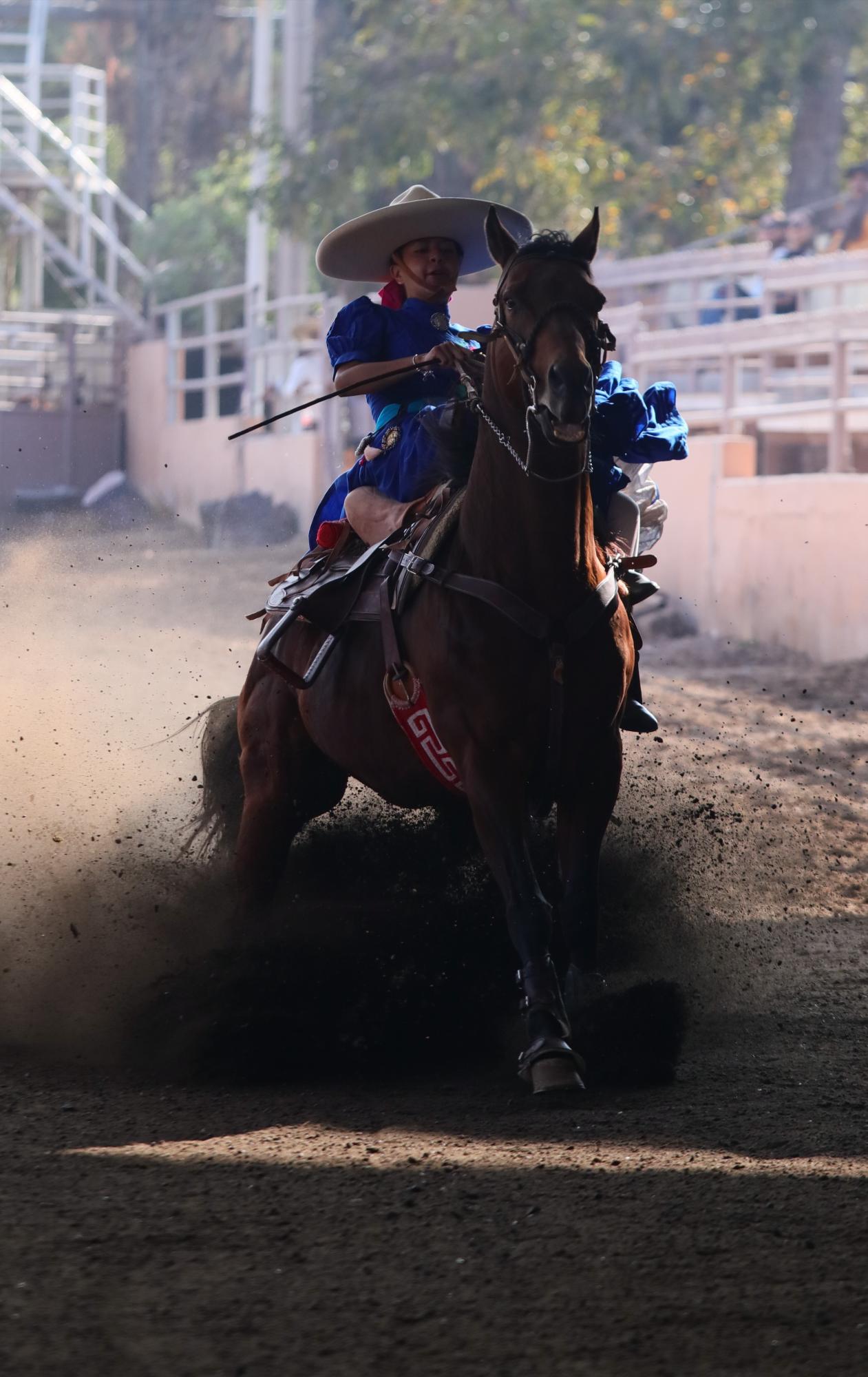 $!Octavo Circuito Charro Coahuilense, concluye con éxito: Hacienda La Purísima se queda el título