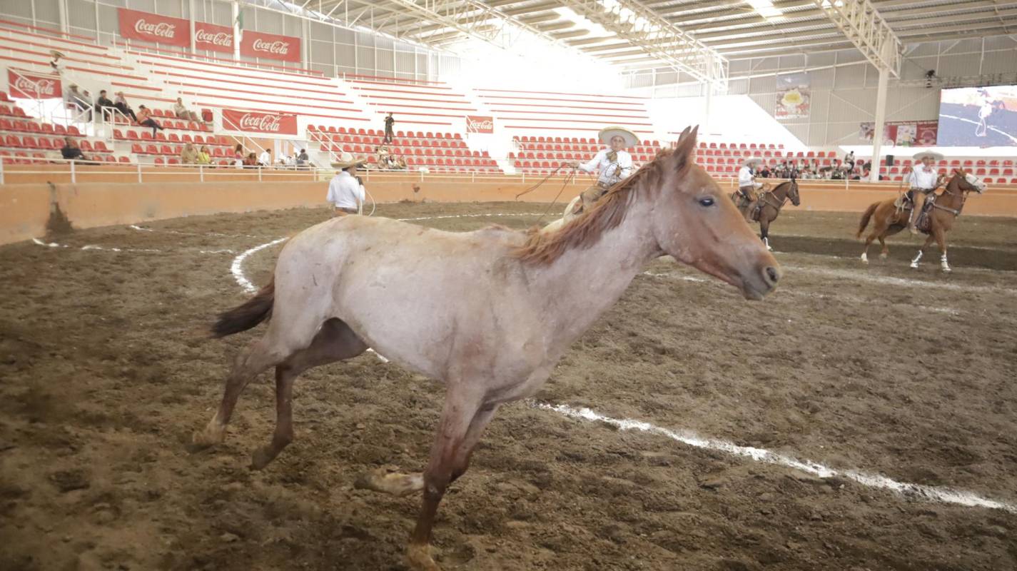 $!Reñida final le da el triunfo a Huajuco Santa Elena en el XI Campeonato Nacional de la Manzana