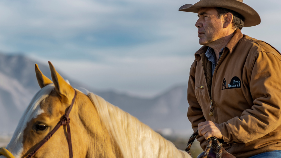 Caballos leyenda: Hollywood Dun It, un ícono del Reining