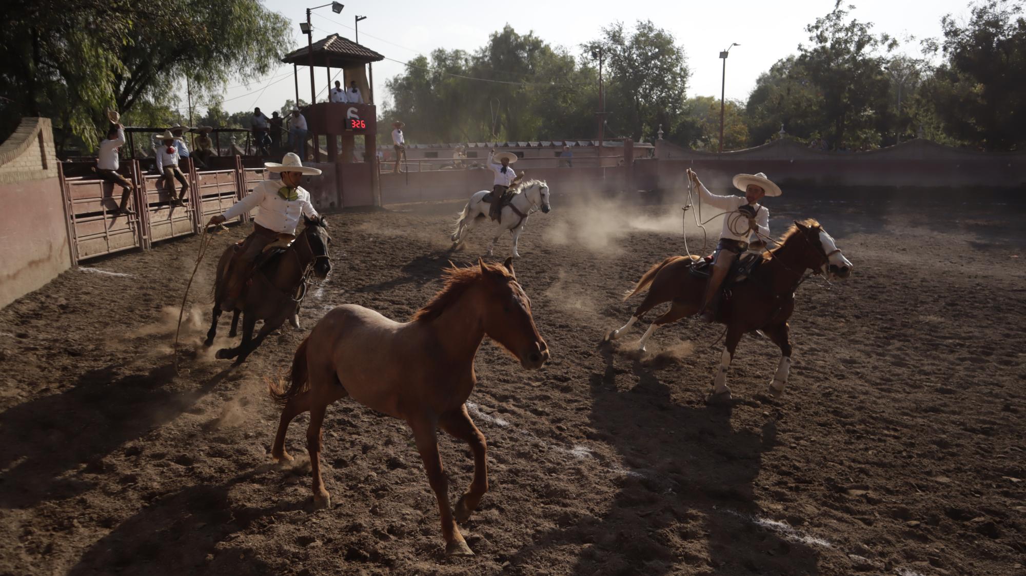 $!El Cortijo aprovecha la localía y acumula casi 300 puntos en última fase de Circuito Charro Coahuilense