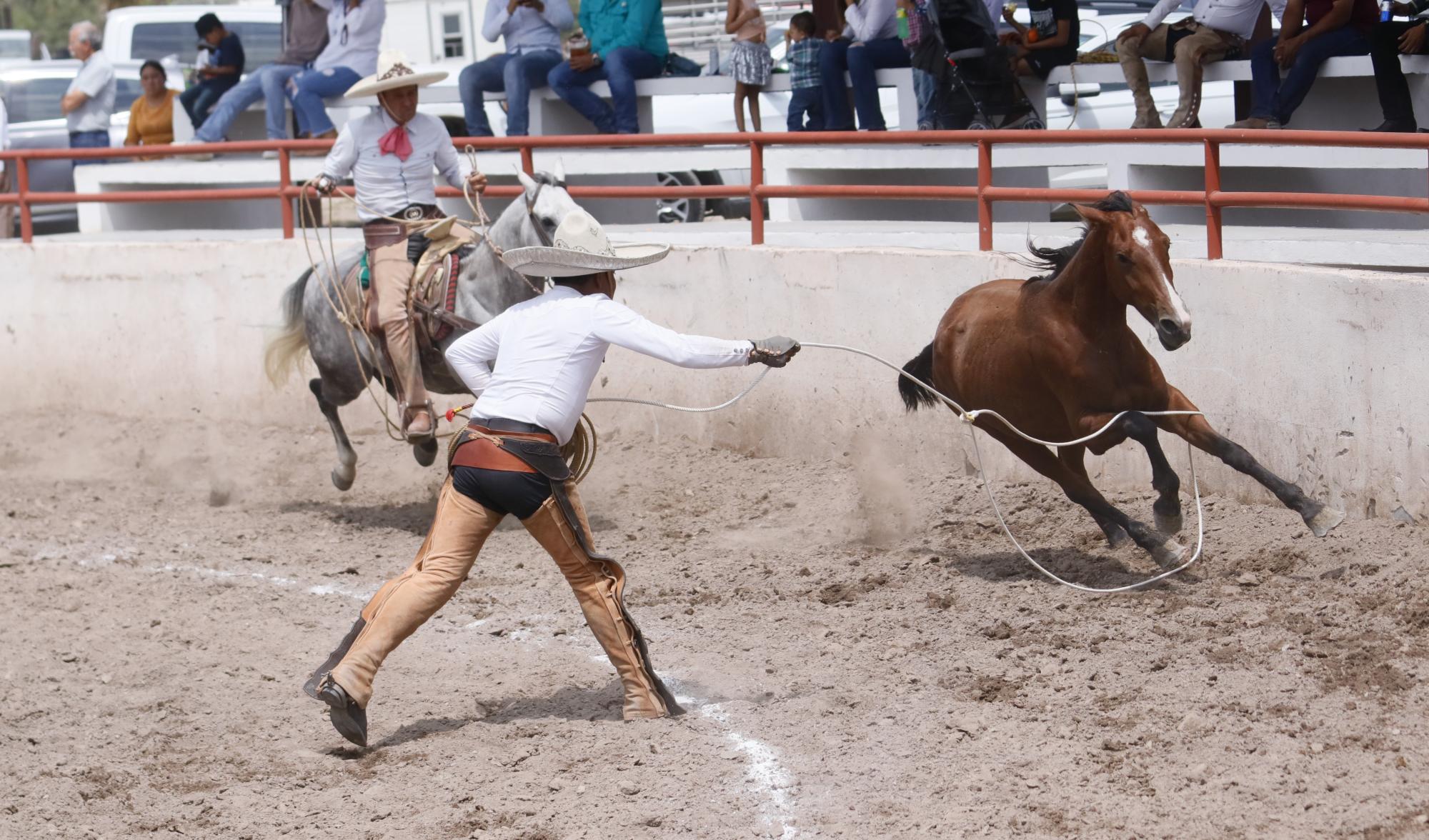 $!Lienzo El Cortijo volverá a ser sede el Circuito Charro Coahuilense; esta vez para la fase final