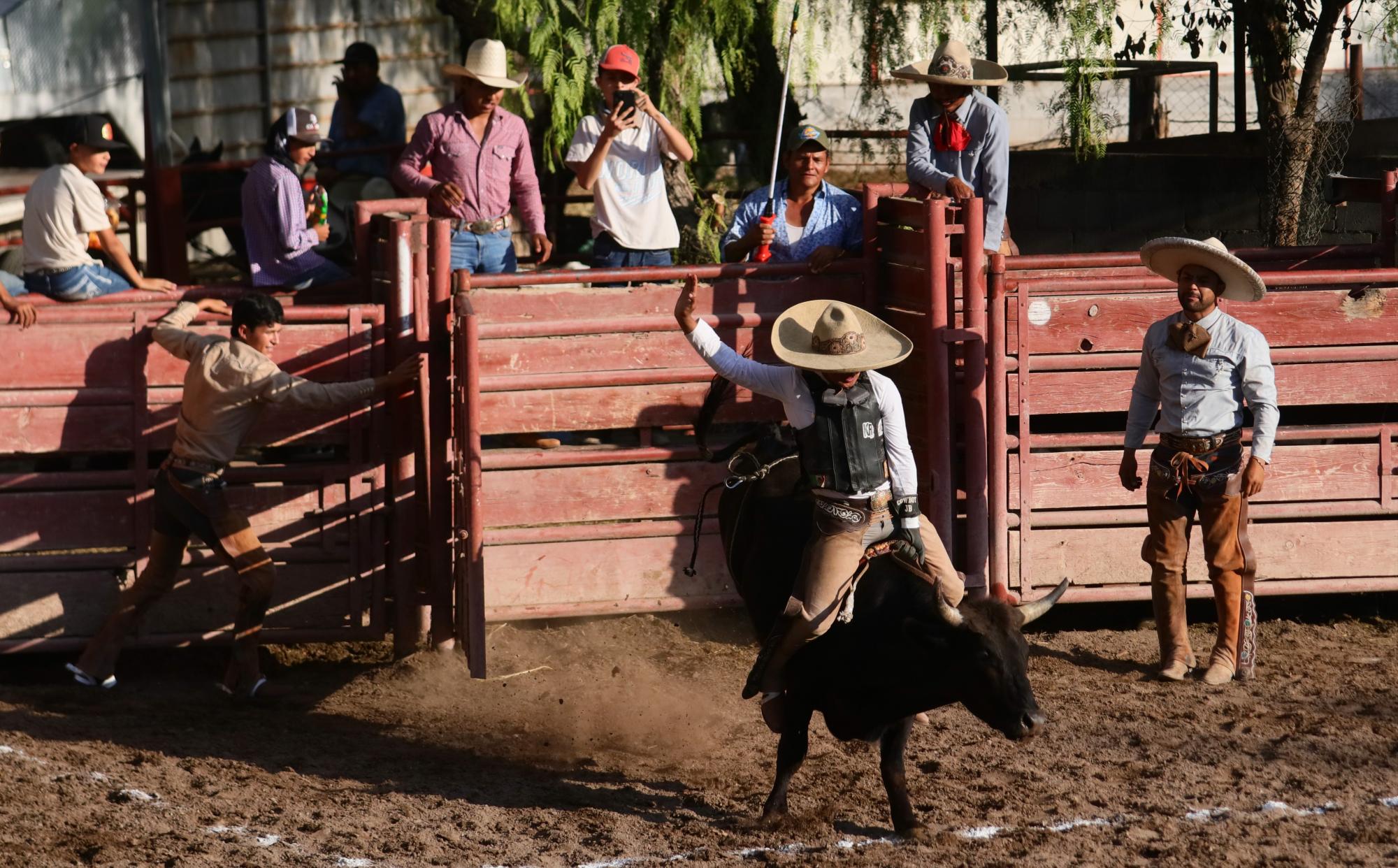 $!Sin incidentes se realizaron las montas de toro.