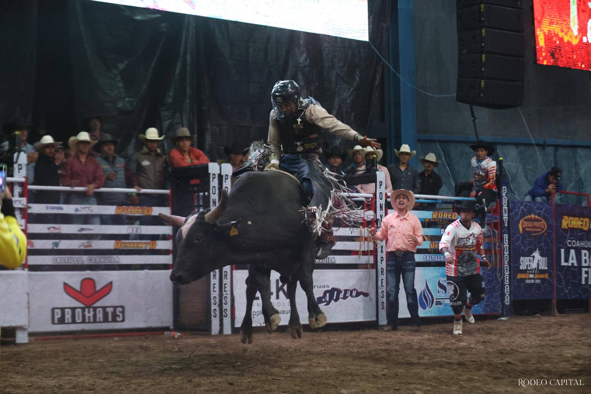 $!Rodeo del Desierto tiene campeón indiscutible: el regiomontano Edgar Salazar conquista a Catbird