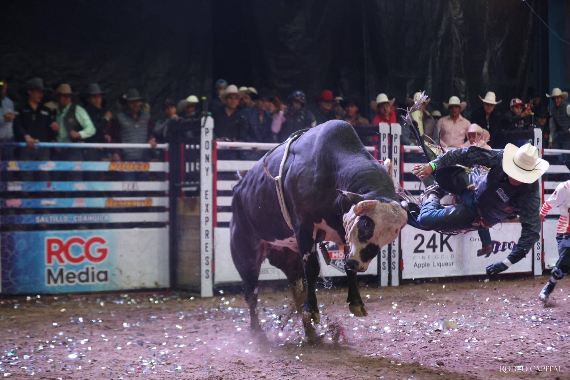 $!Rodeo del Desierto tiene campeón indiscutible: el regiomontano Edgar Salazar conquista a Catbird