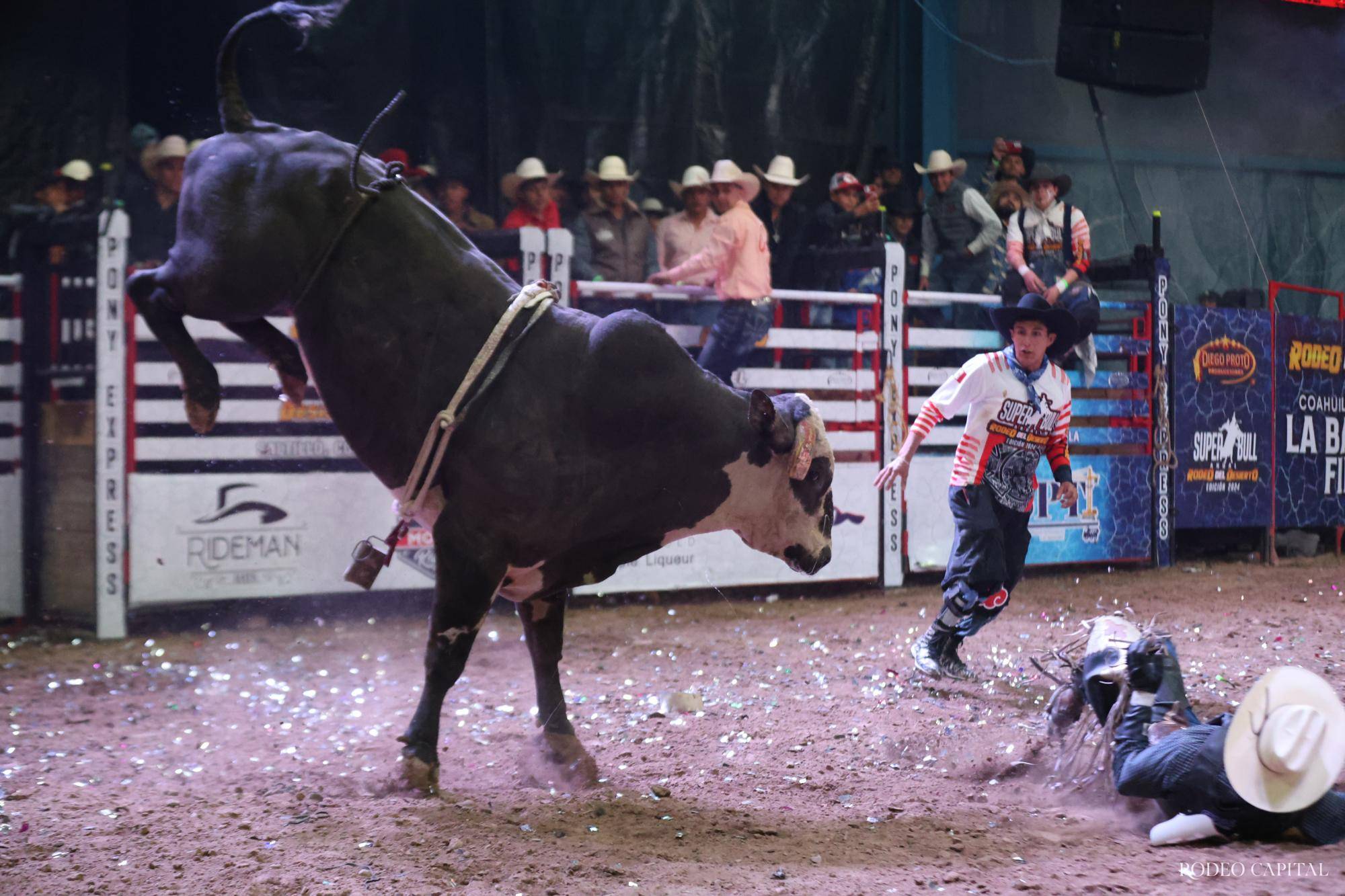 $!Rodeo del Desierto tiene campeón indiscutible: el regiomontano Edgar Salazar conquista a Catbird