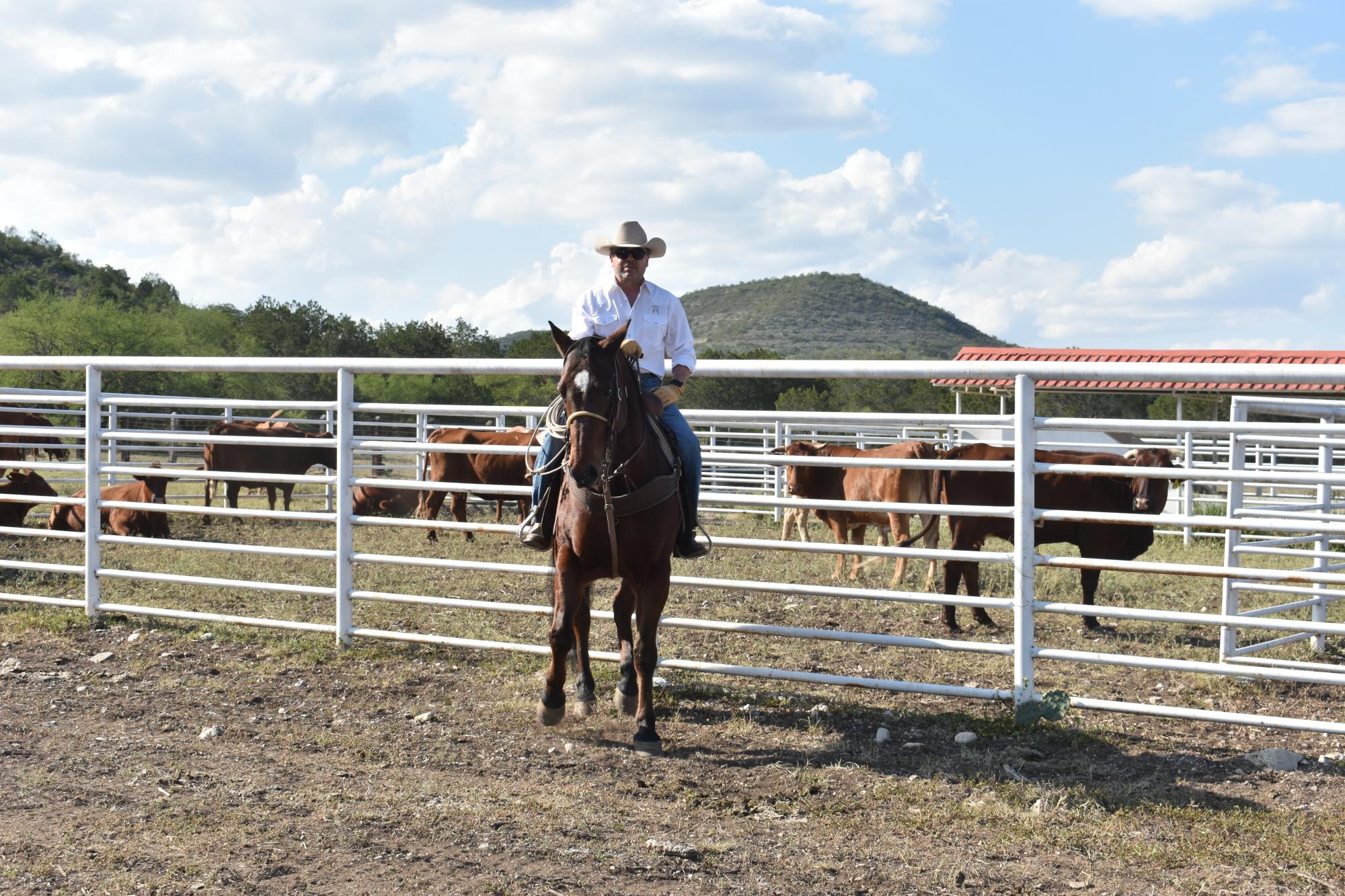 $!Rancho Los Pintos: una apuesta al equilibrio ecológico