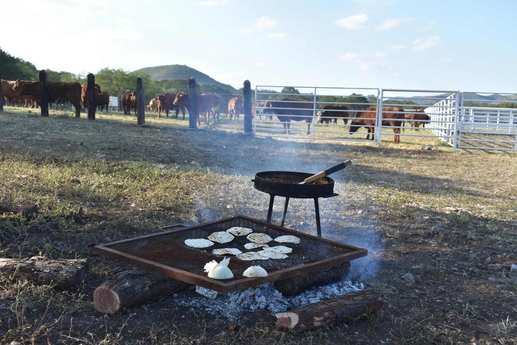 $!Rancho Los Pintos: una apuesta al equilibrio ecológico