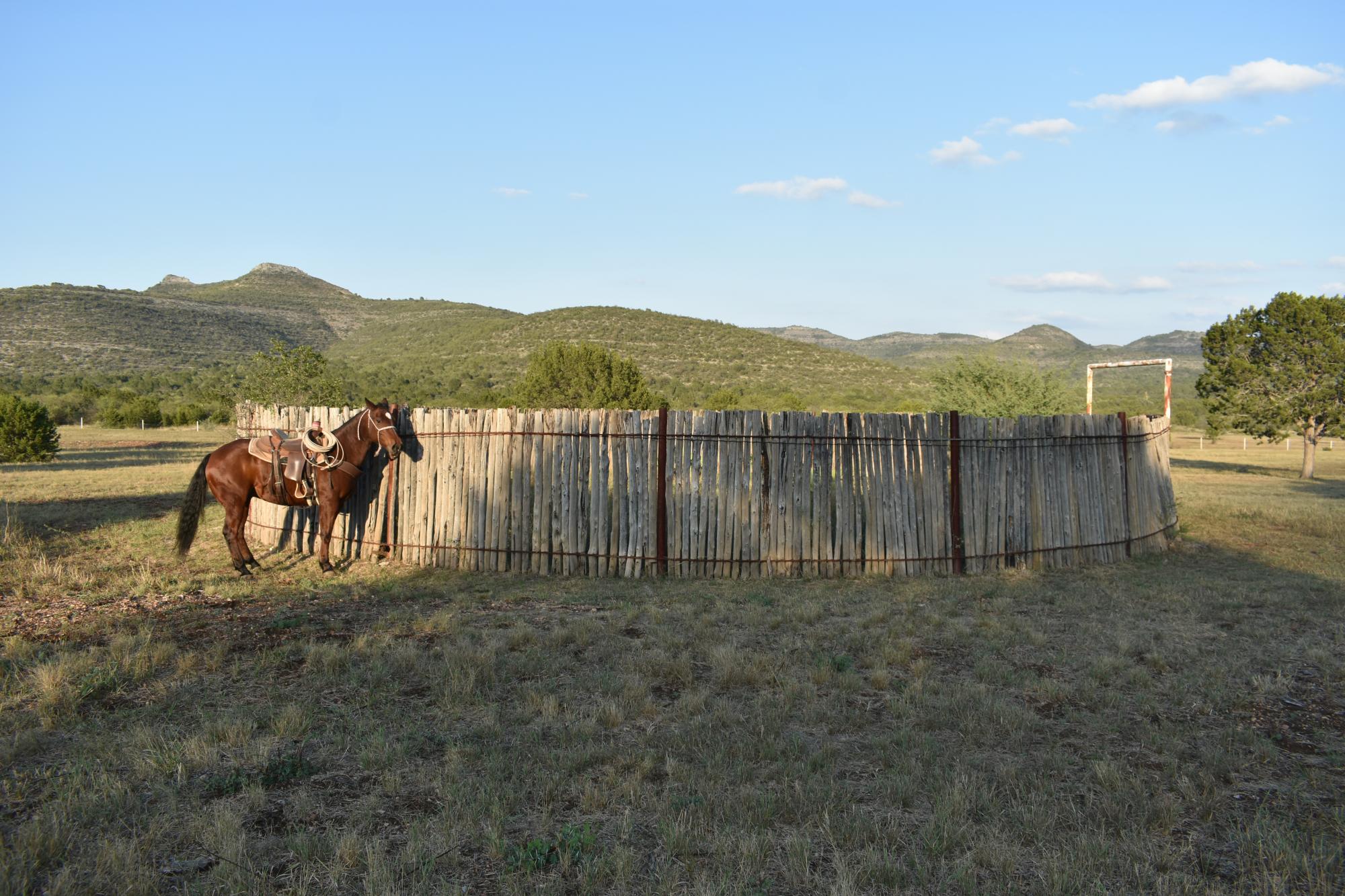 $!Rancho Los Pintos: una apuesta al equilibrio ecológico