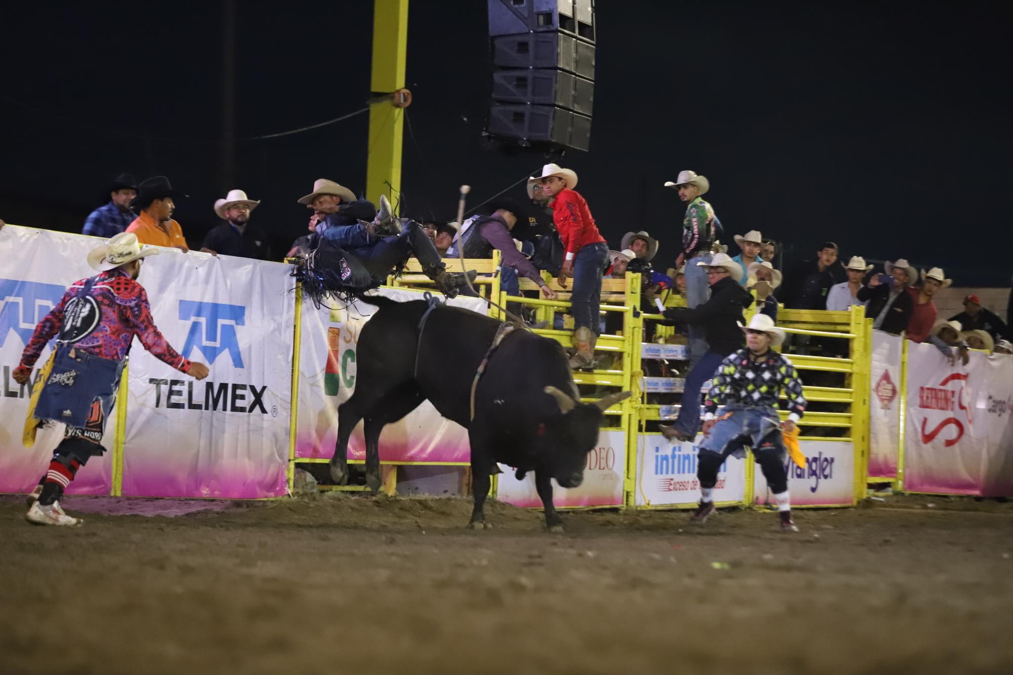 $!Rodeo Saltillo 2024: ¡Llueven estrellas en la Arena 8 Segundos!