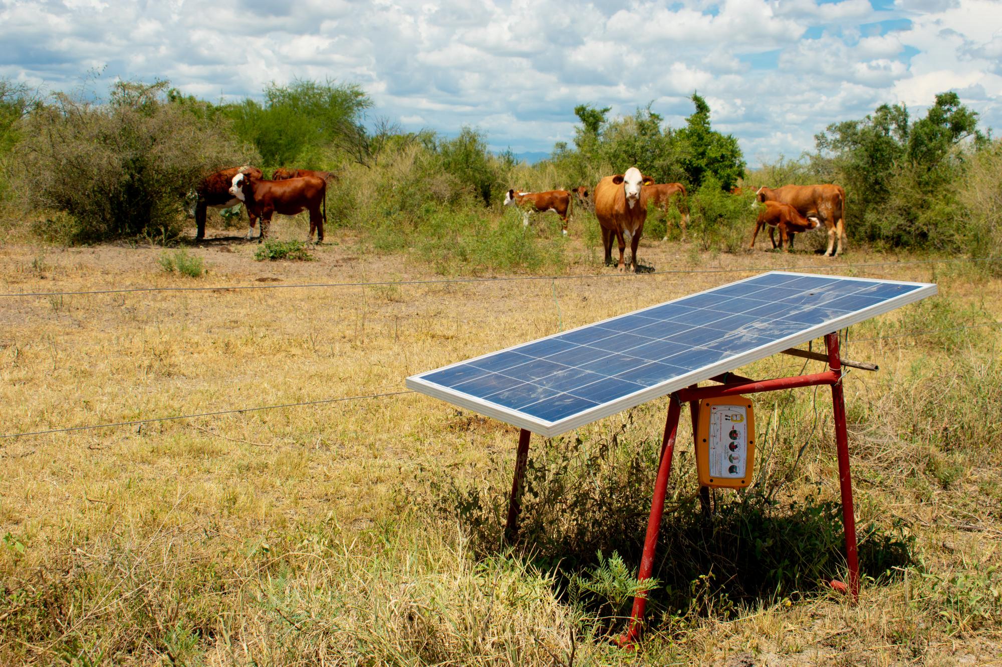 $!’La Gacha’, un rancho emblemático de Múzquiz, Coahuila