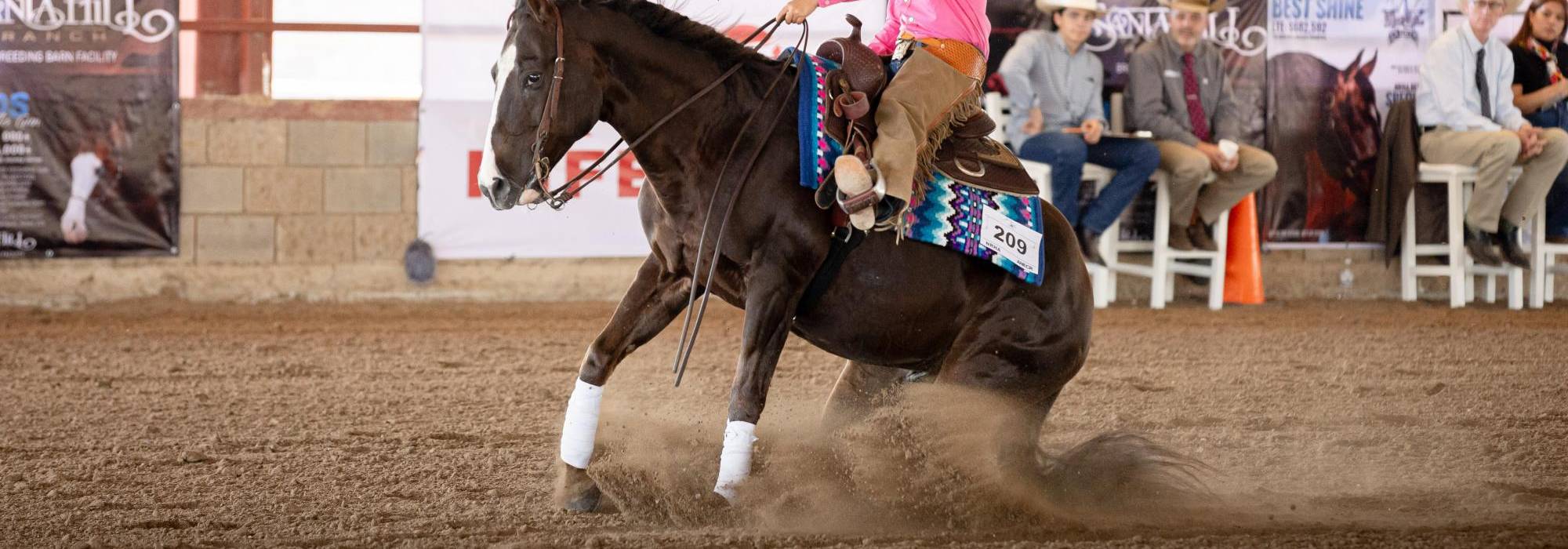 Saltillense Loretta Ramírez, directo al Mundial de Reining en Oklahoma, Estados Unidos