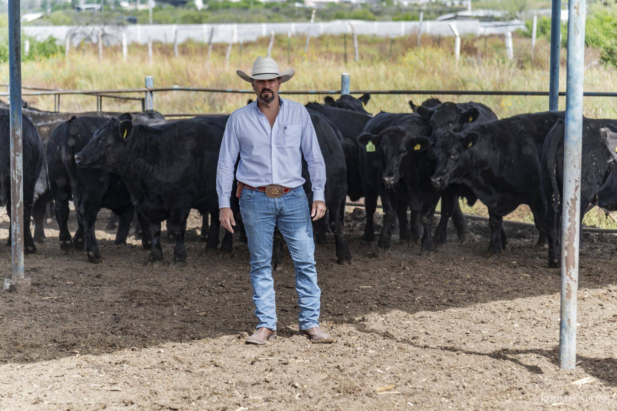 $!Enrique García, el propietario de Coahuila Steaks, cría ganado Angus para obtener carne de la más alta calidad.