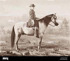 $!Traveller (1857 - 1871) fue el caballo más famoso del general confederado Robert E. Lee durante la Guerra de Secesión estadounidense.