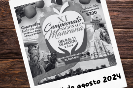 XI Campeonato Nacional de la Manzana