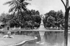 Los habitantes de Saltillo no estuvieron en peligro en ningún momento pues las fieras estaban en jaulas.