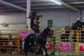 Los asistentes disfrutaron de la gran exhibición de los caballos de alta escuela.