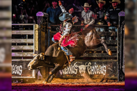 La cita para la Gran Final del circuito de jineteo de toros está pactada para el próximo 16 de noviembre.