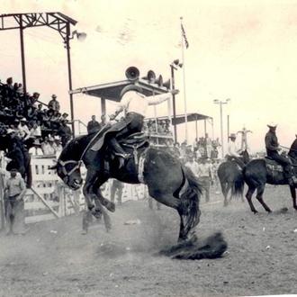 $!Desde 1919 se inició con la tradición del Rodeo en Cody.