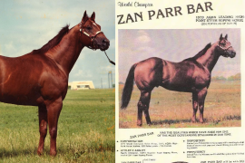 Caballos Leyenda: Zan Parr Bar, el corcel que redefinió la excelencia