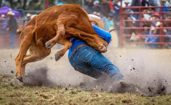 $!Cody es un pueblo de Wyoming considerado la capital del rodeo en todo el mundo.