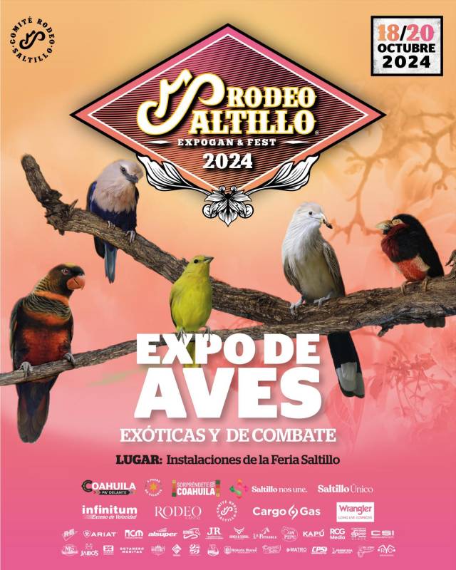 $!Rodeo Saltillo: conoce el programa y horarios de los tres días de acción