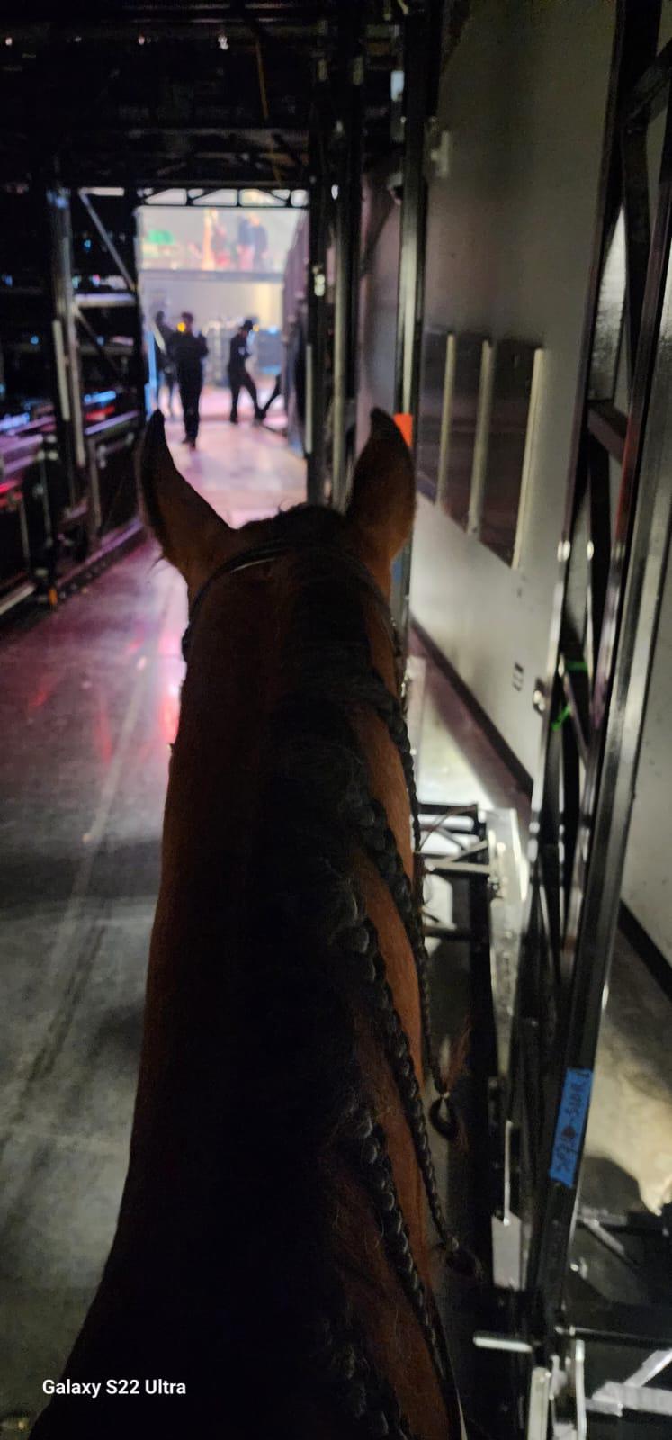 $!Bucky preparado para salir al escenario.