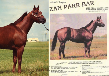 Caballos Leyenda: Zan Parr Bar, el corcel que redefinió la excelencia