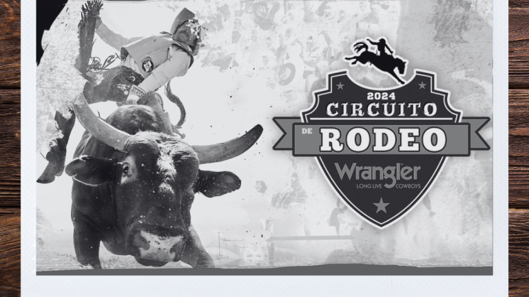 Rodeo Completo- Circuito Wrangler