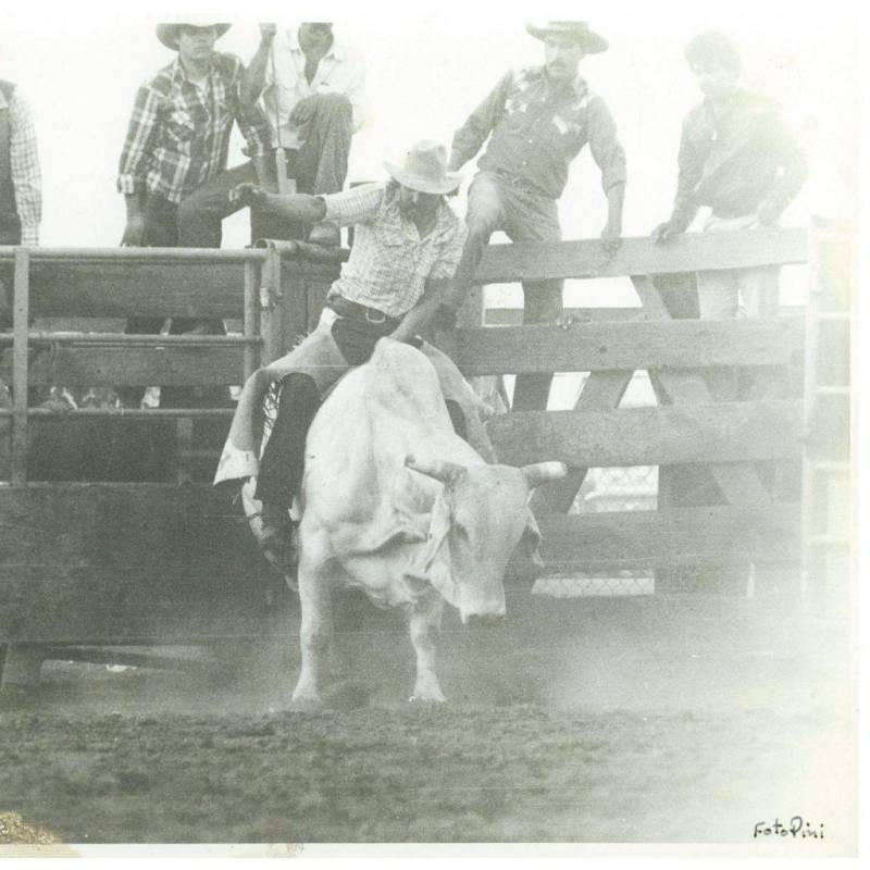 $!Los vaqueros del norte del México, que eventualmente se convirtió en el sur de Estados Unidos, sentaron las bases del deporte de rodeo.